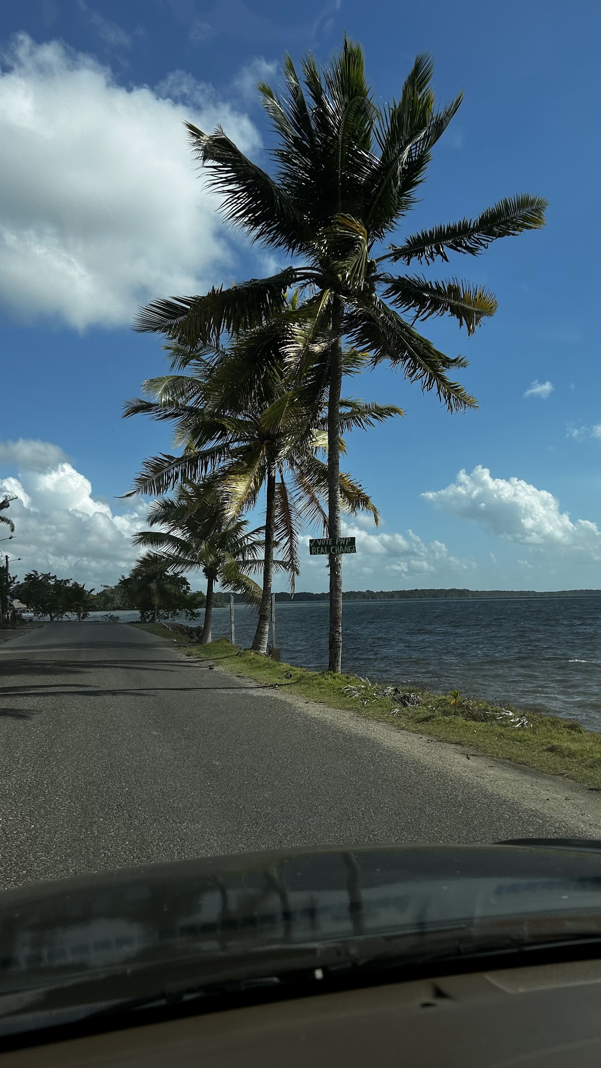 Punta Gorda Port gallery 4