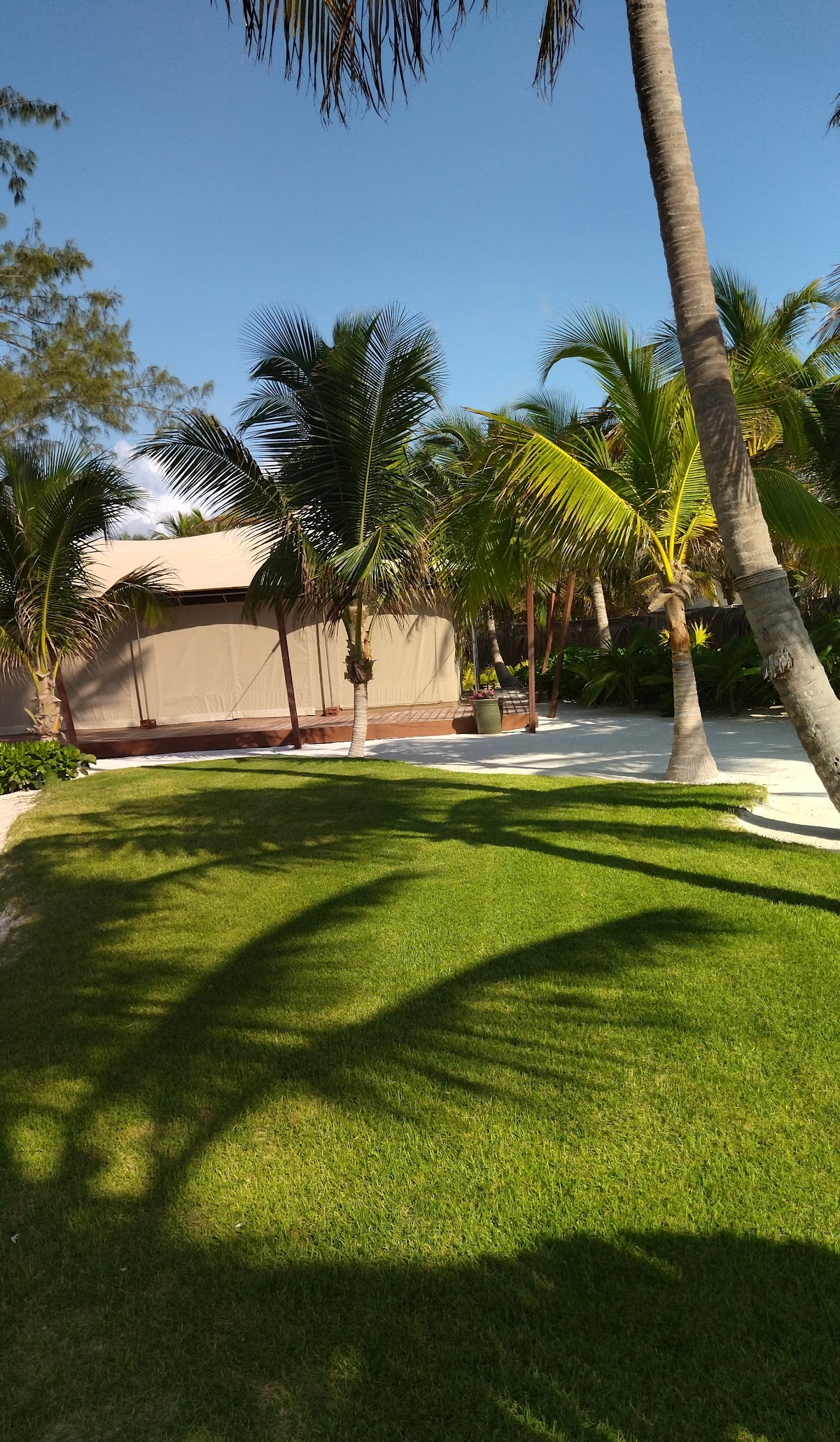 Four Seasons Private Residences gallery 10