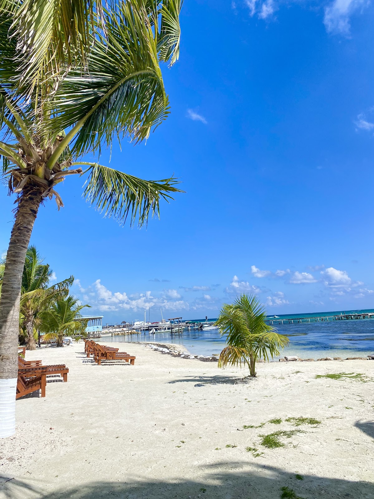 Caye Caulker, Belice gallery 5