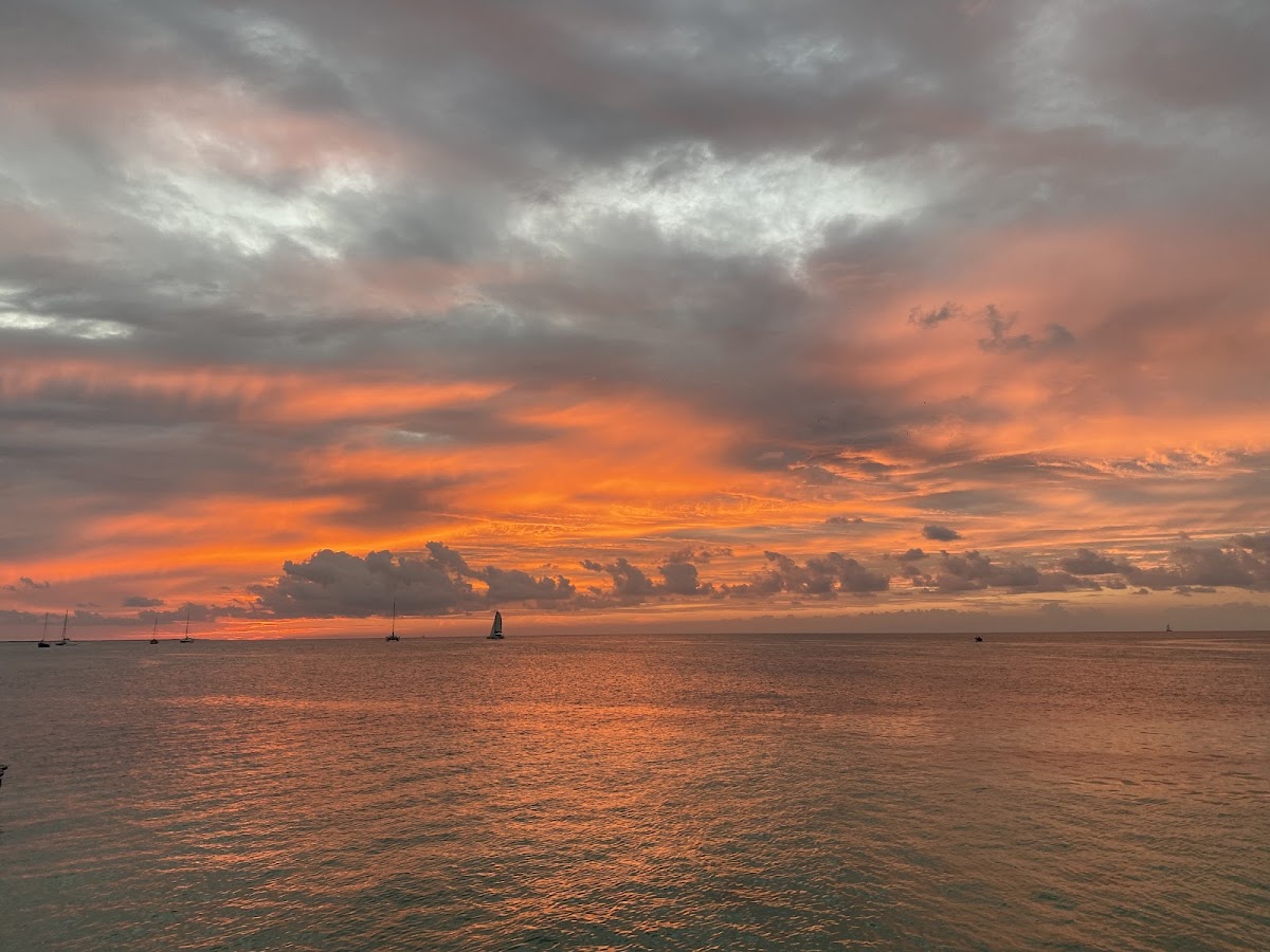 Caye Caulker, Belice gallery 8