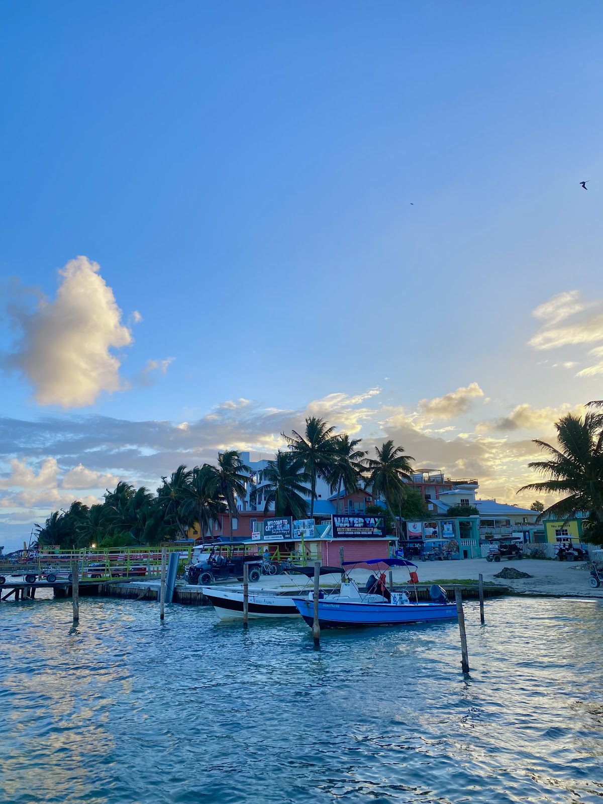 Caye Caulker, Belice gallery 9