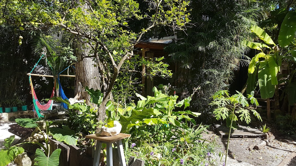 Aerolito Tulum gallery 9