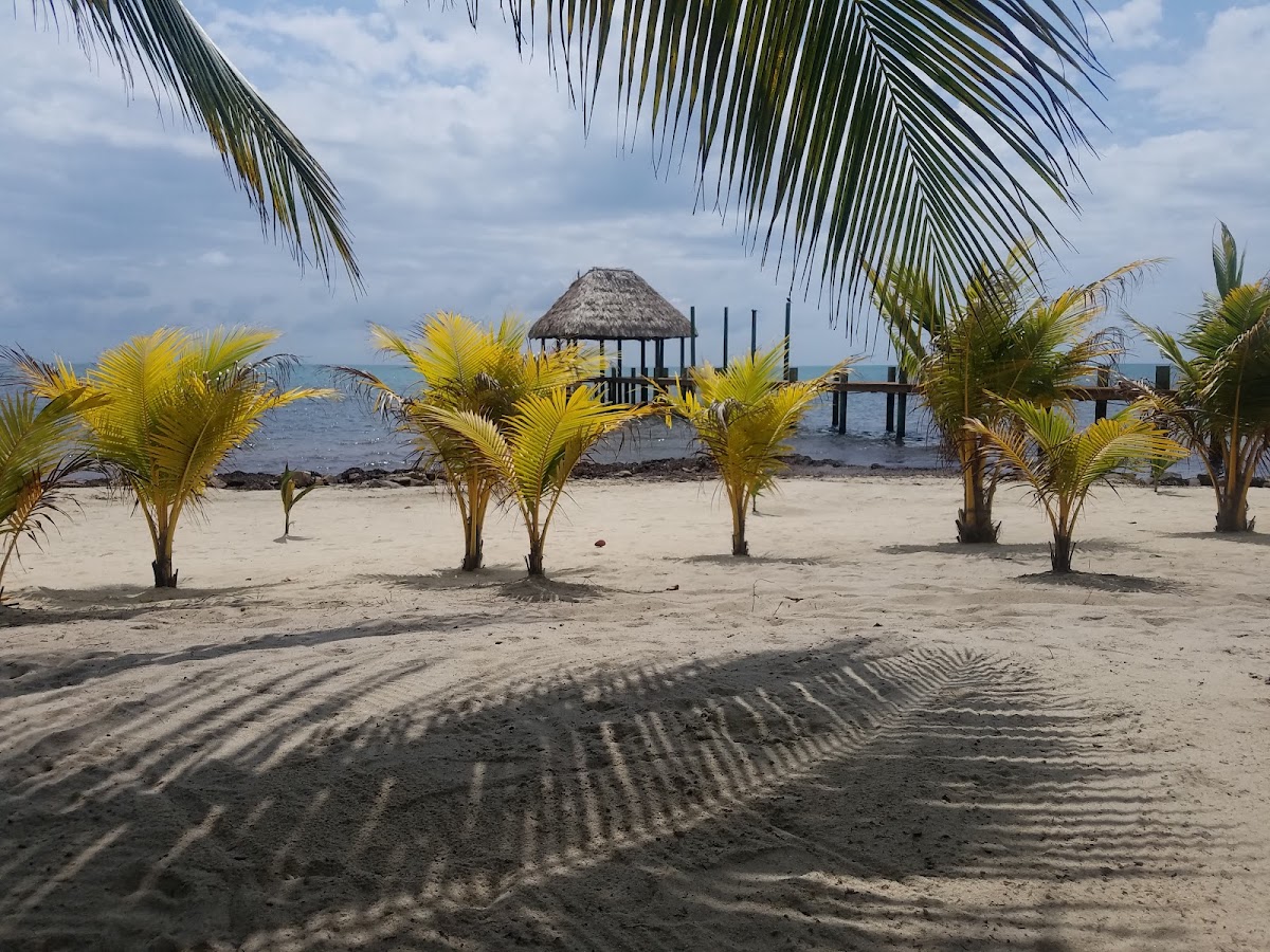 Wooden Mongoose Vacation Rentals gallery 6