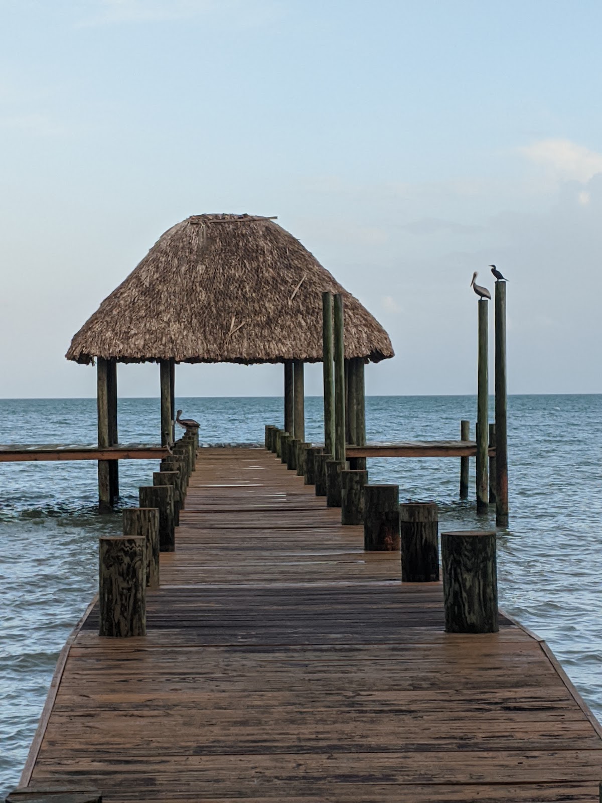 Wooden Mongoose Vacation Rentals gallery 7