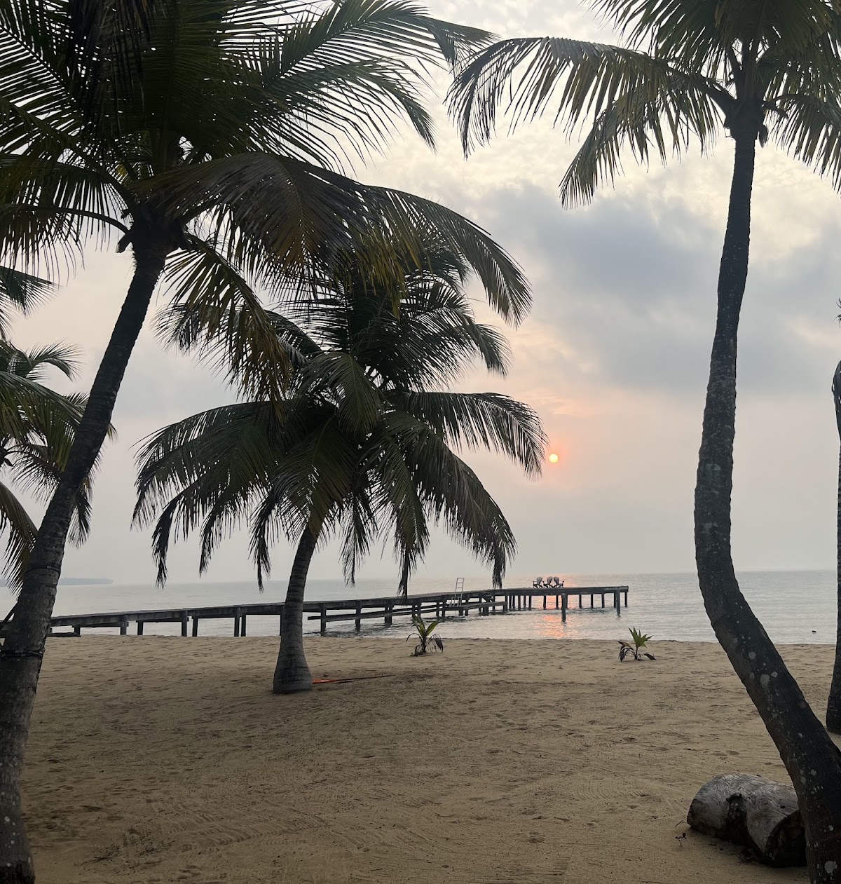 Sabal Beach gallery 4