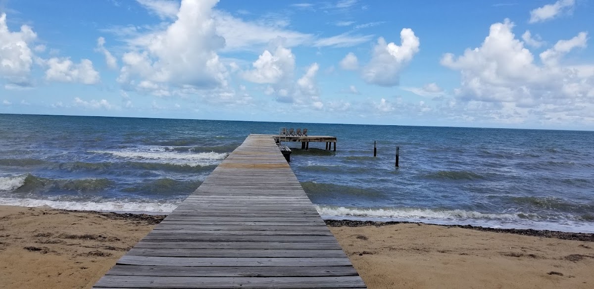 Sabal Beach gallery 8