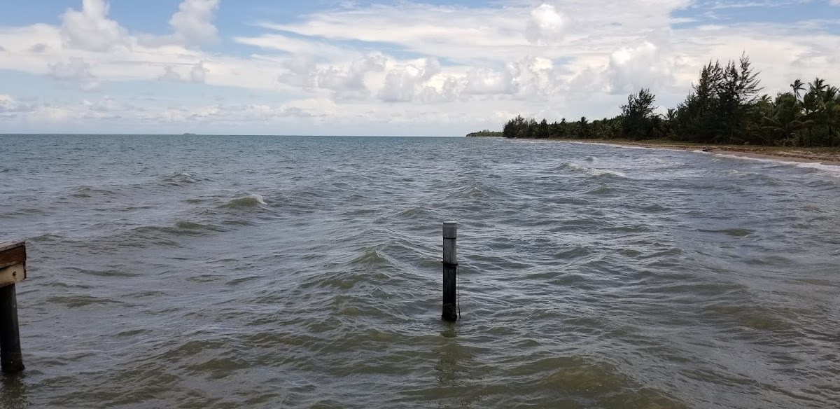 Sabal Beach gallery 9
