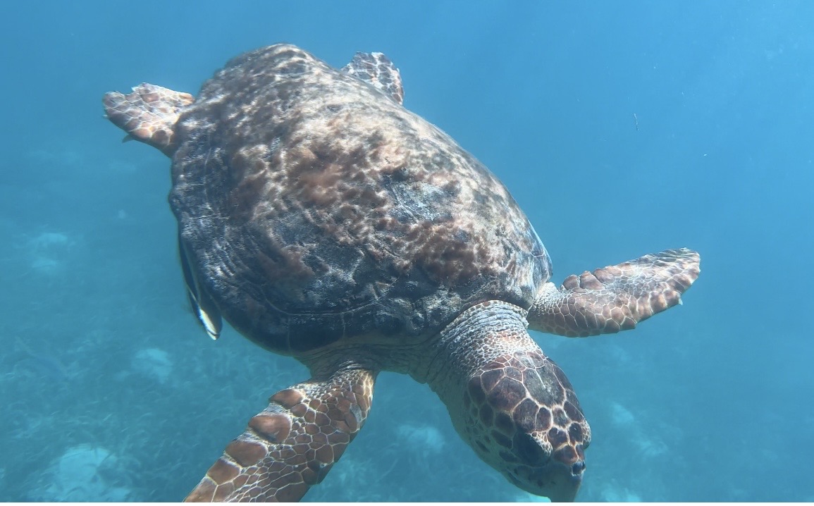 The Moorings: Belize gallery 5