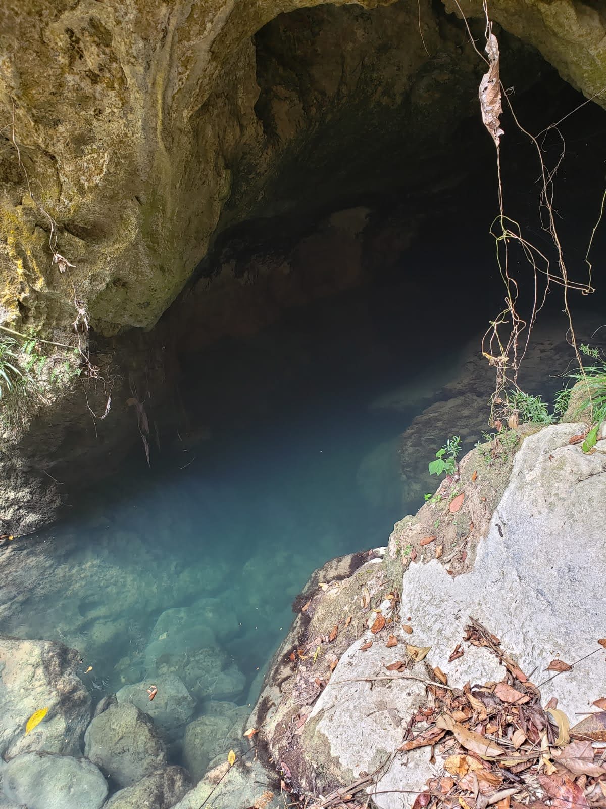 Ho-keb-Ha Cave Blue Creek gallery 9