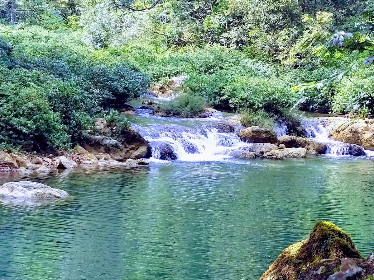 IZE Blue Creek Rainforest Lodge gallery 2
