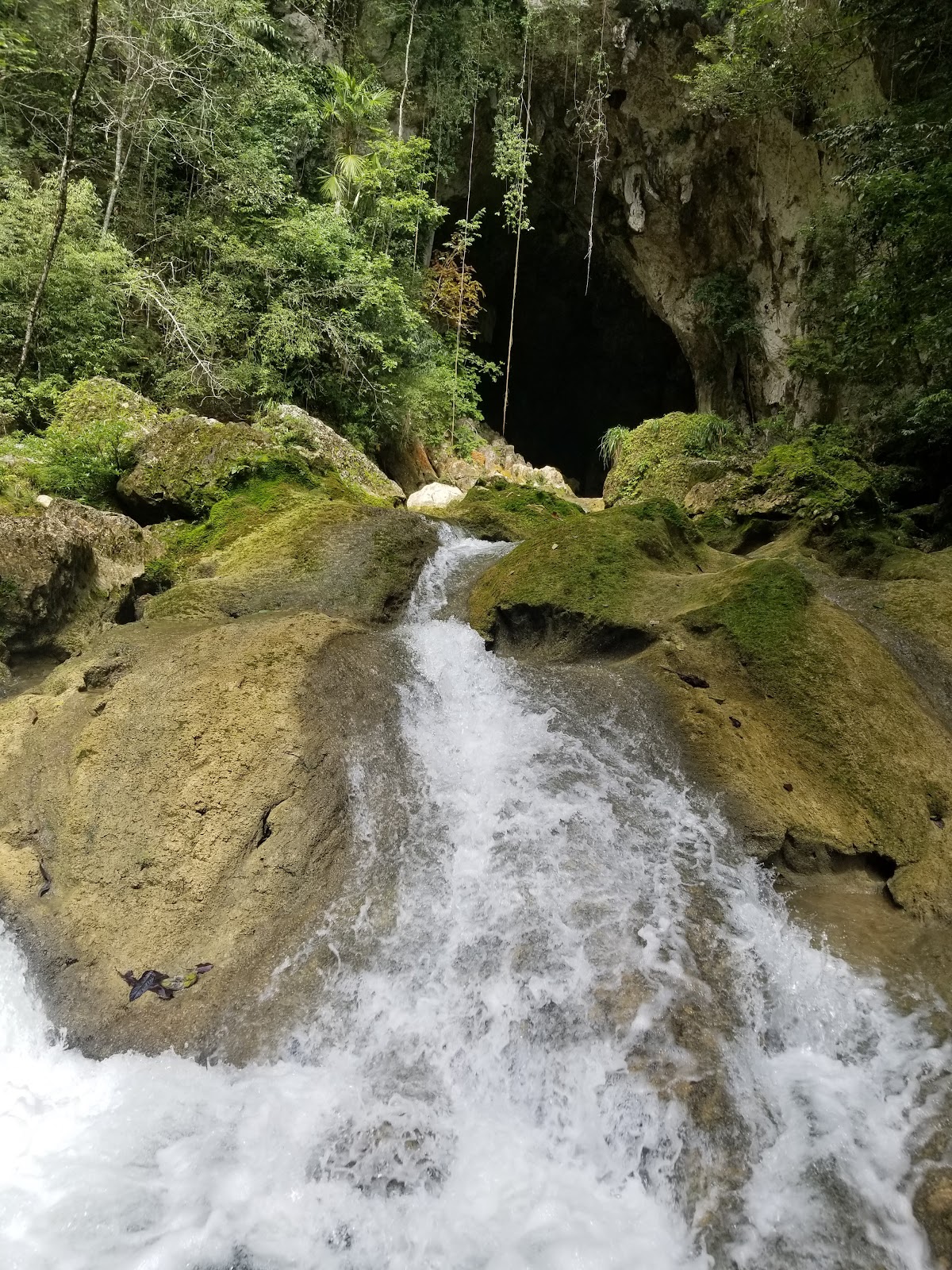 IZE Blue Creek Rainforest Lodge gallery 5