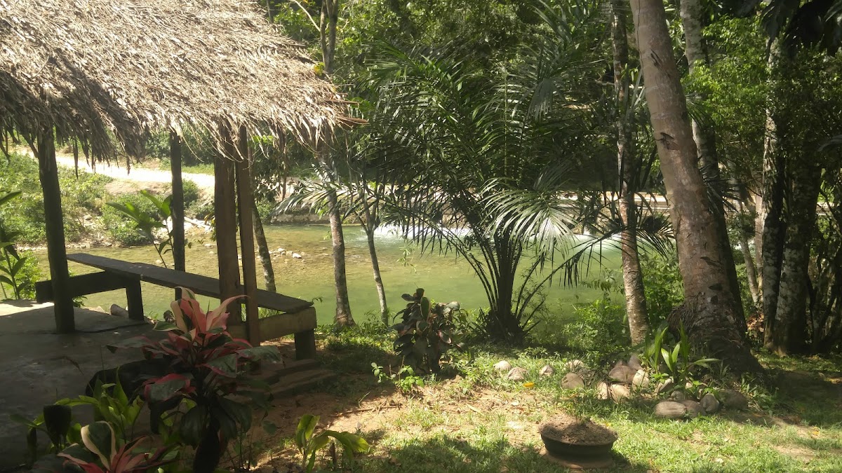 IZE Blue Creek Rainforest Lodge gallery 10