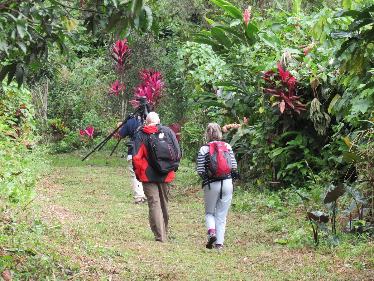 Scarlet Macaw Bed & Breakfast gallery 4