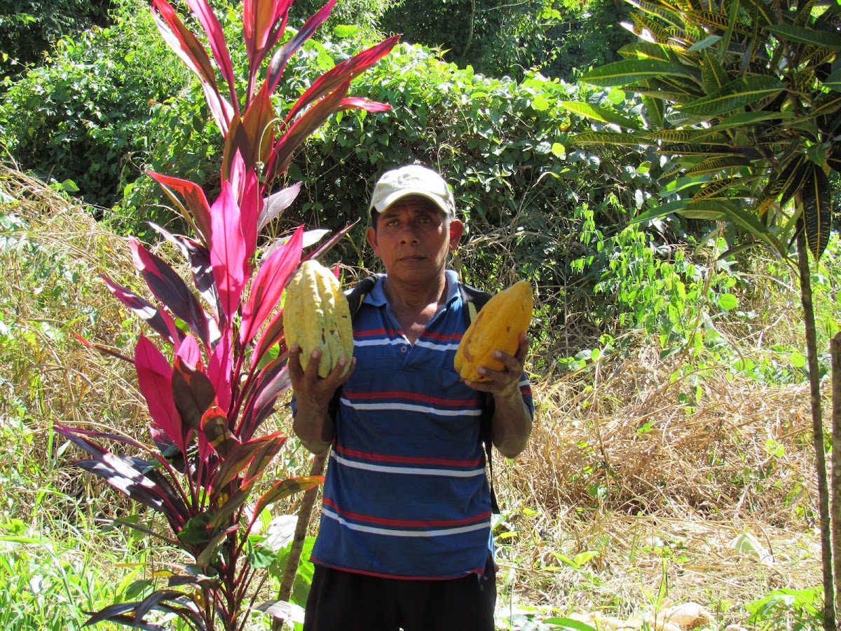 Scarlet Macaw Bed & Breakfast gallery 7