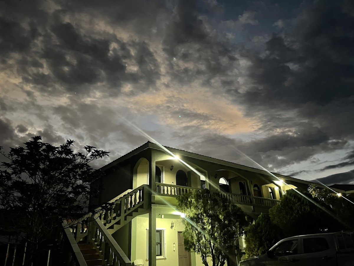 Dolphin Hotel gallery 2