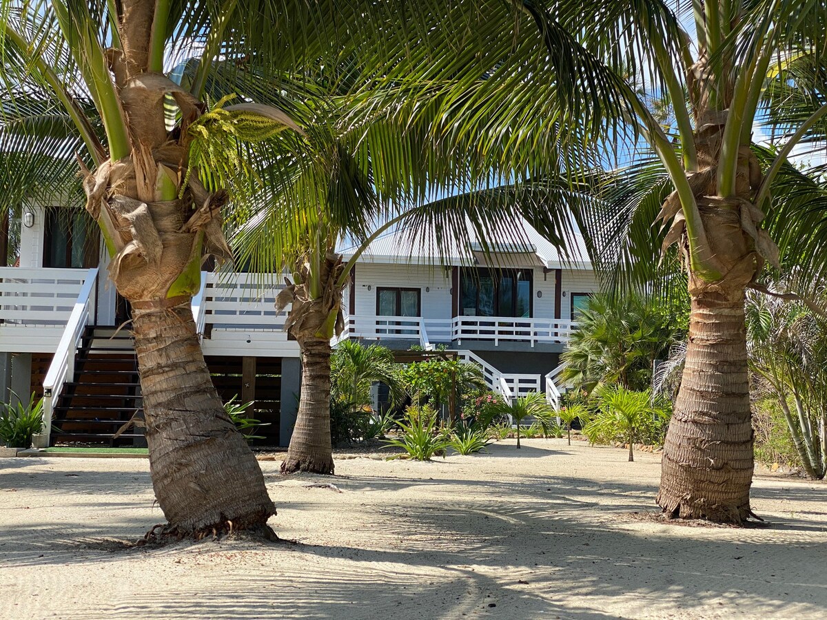 La Vida Belize gallery 5