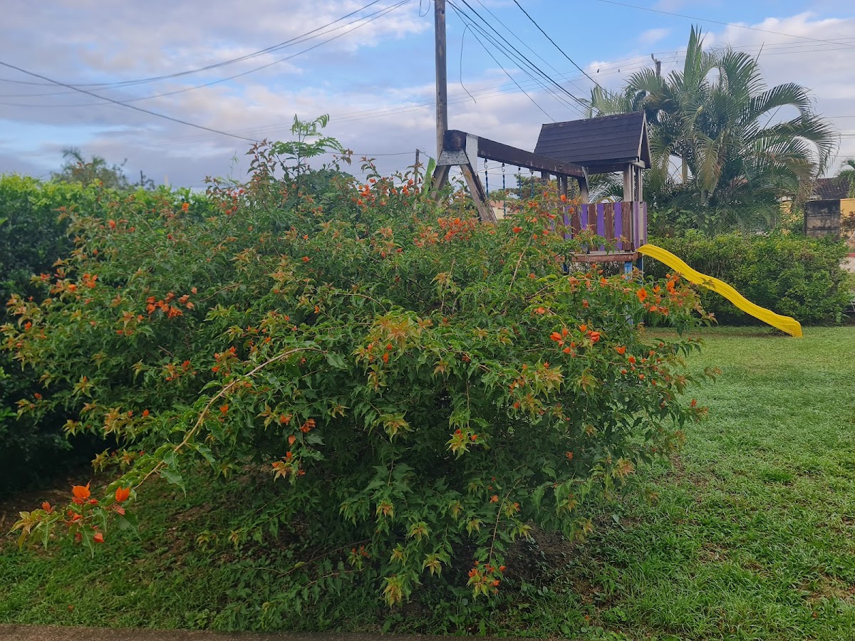 GM Suites Bed & Breakfast gallery 8