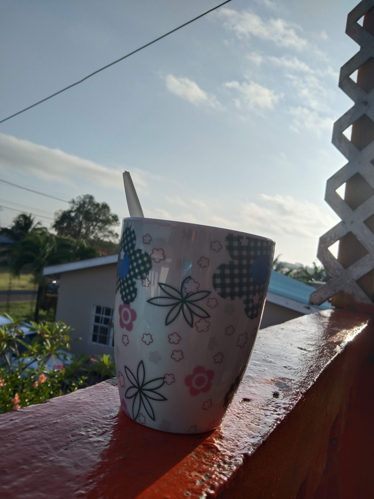 Belmopan Sunview Inn gallery 9