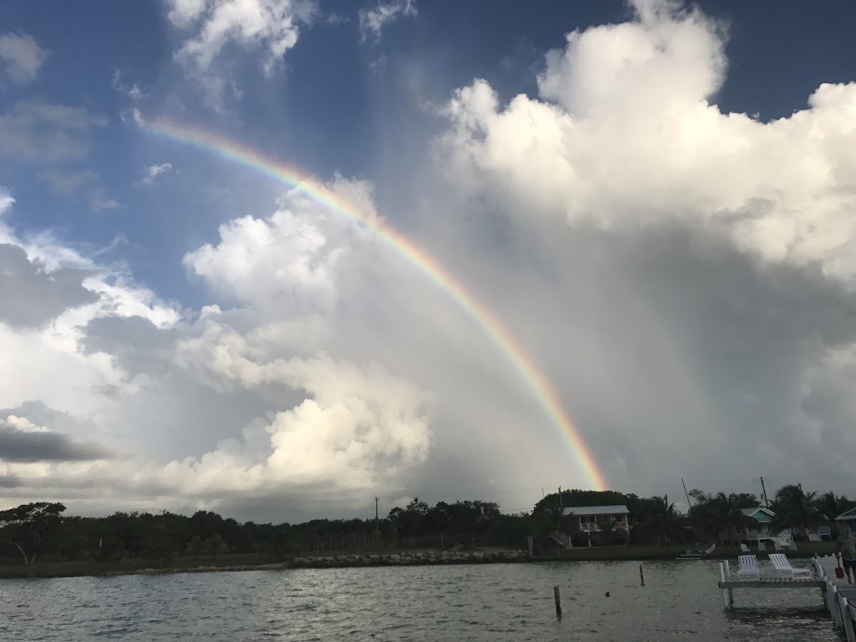 Tilt-Ta-Dock Resort Belize gallery 7