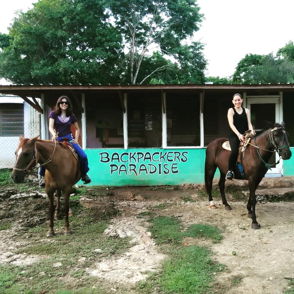 Horse Cottage gallery 5