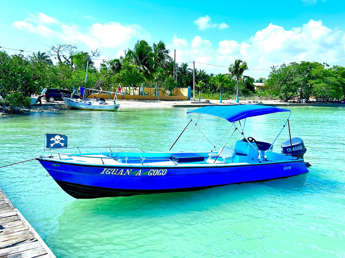 Iguana Beach House Belize gallery 8