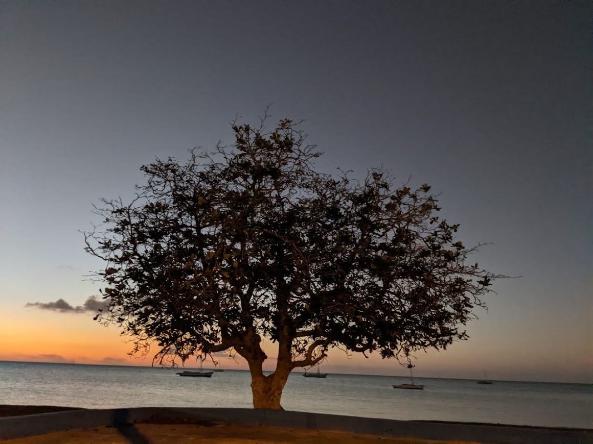 Sunset Bay Guesthouse gallery 4
