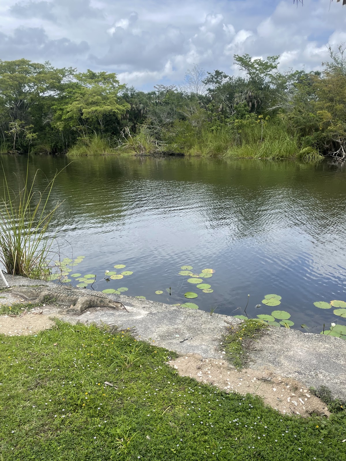Lamanai Riverside Retreat gallery 5