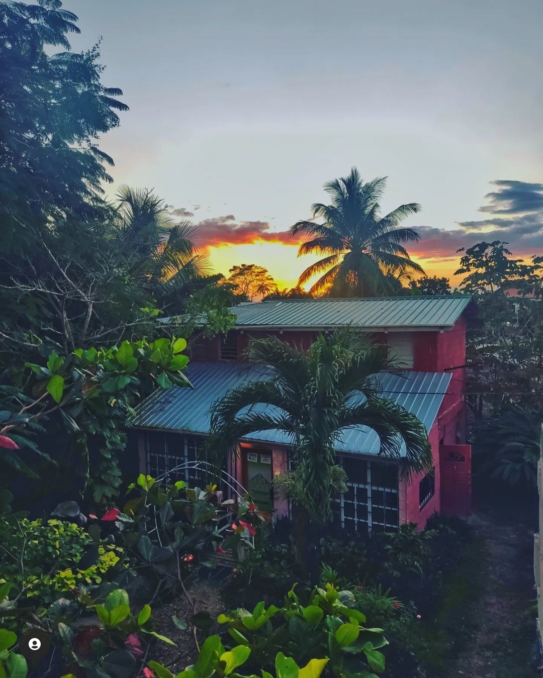 Casa Ricky's gallery 4