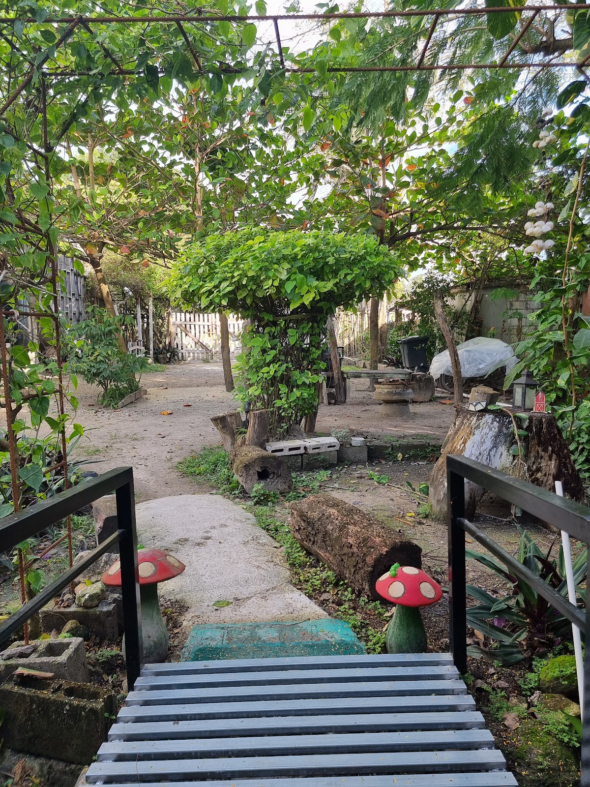 Casa Ricky's gallery 6