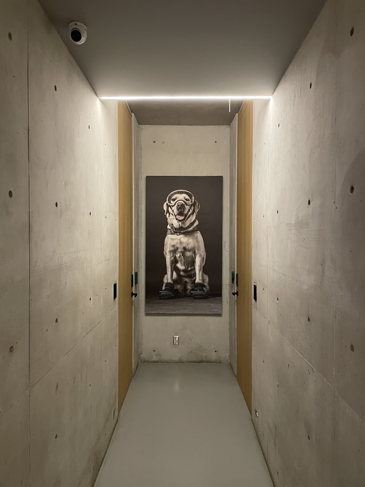 UTOPIC Roma Norte by ULIV gallery 8