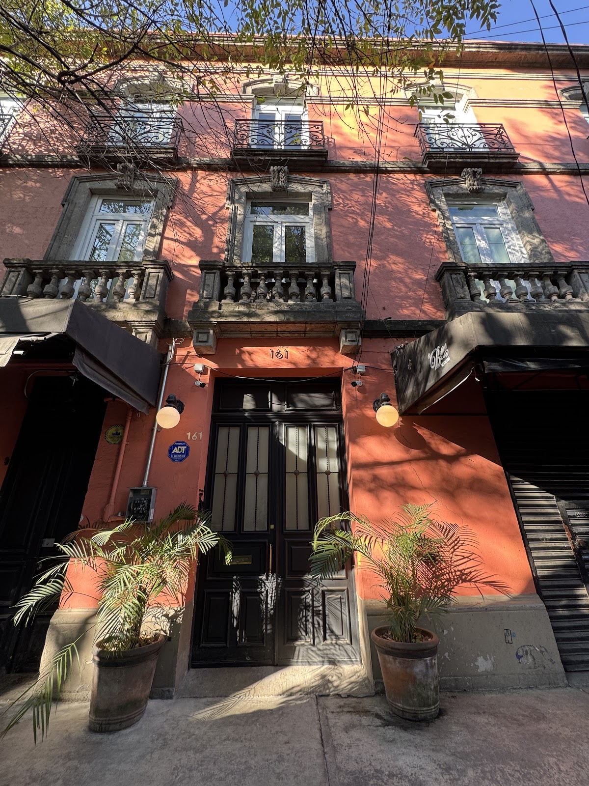 NaNa Vida CDMX gallery 7