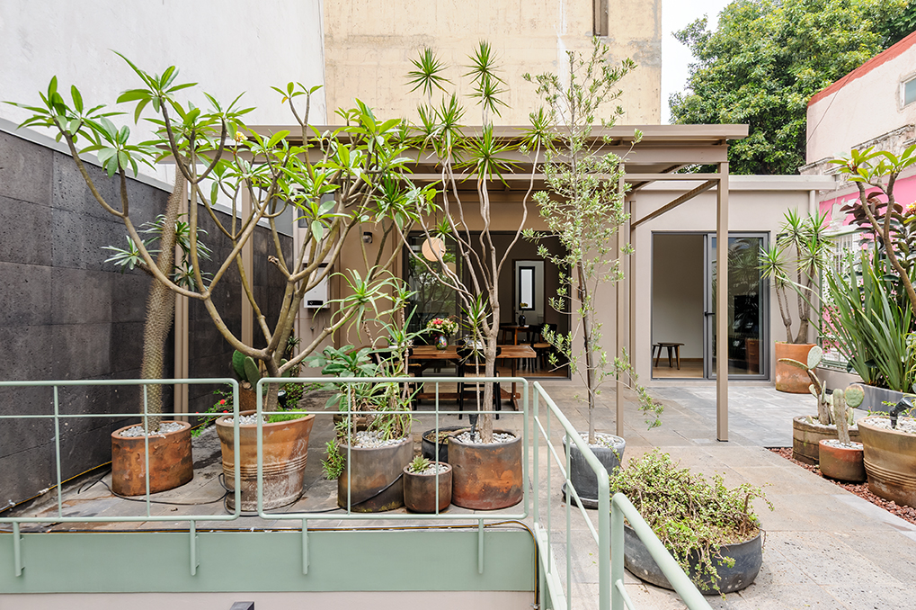 Zaterra gallery 4