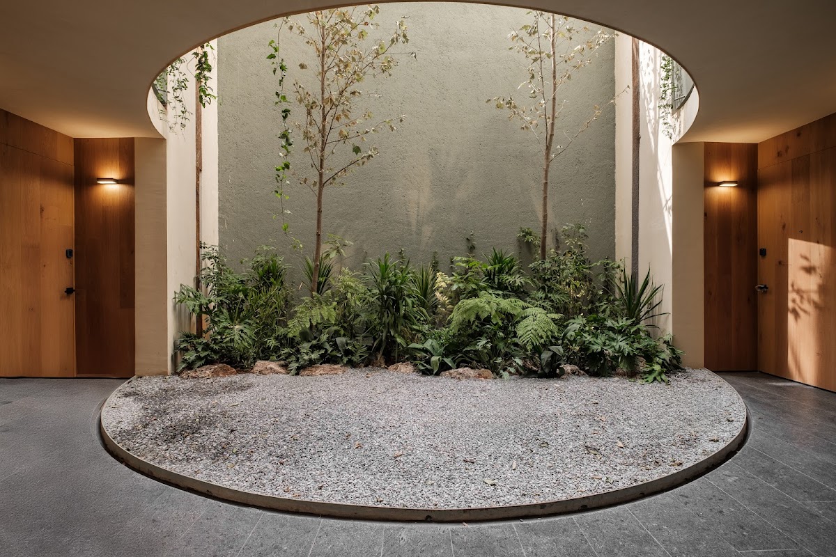 ONTO Álvaro Obregón Mexico City gallery 5