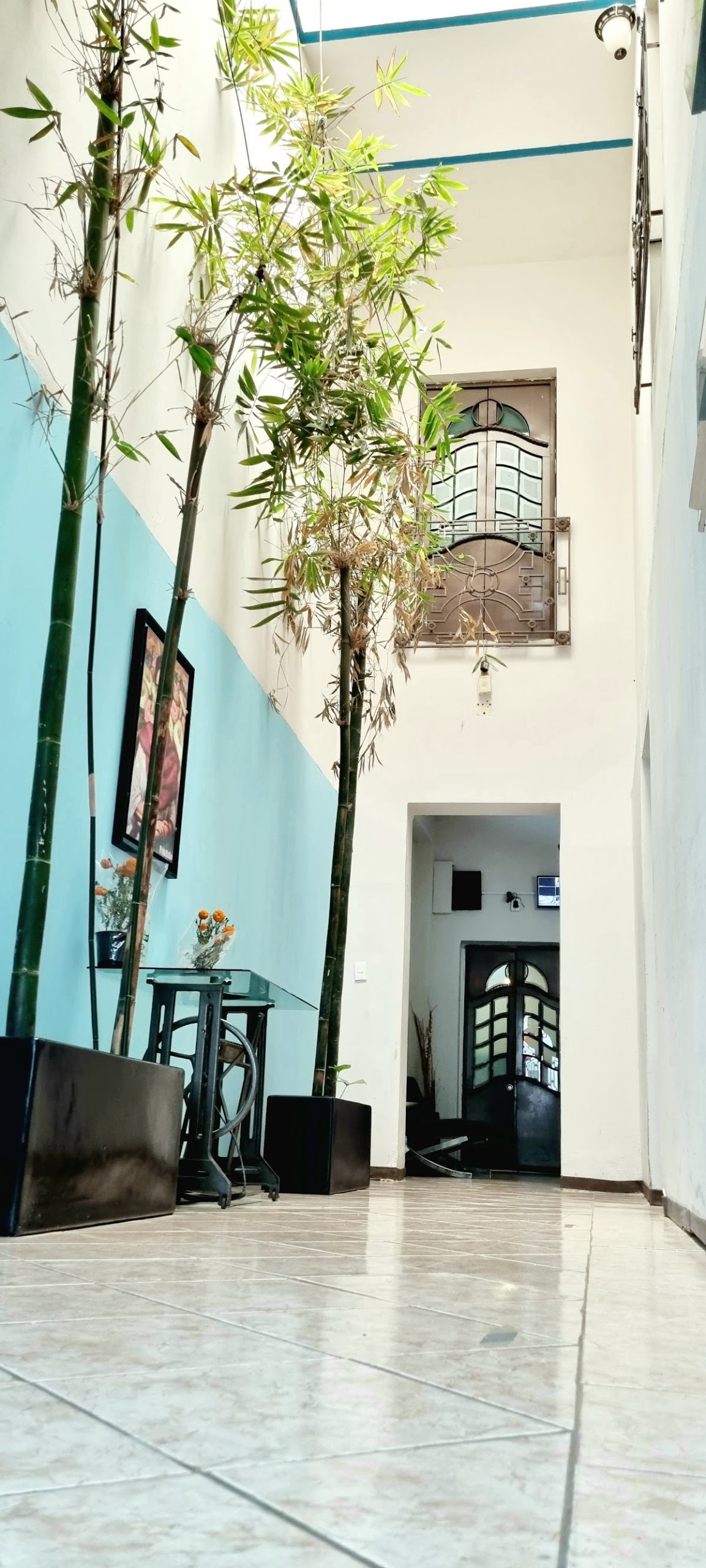 HOM Roma gallery 7