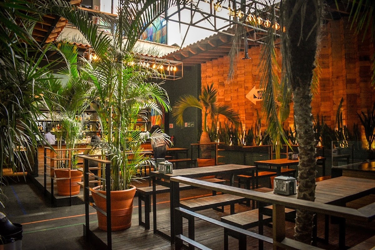 Mexico Hostel gallery 7