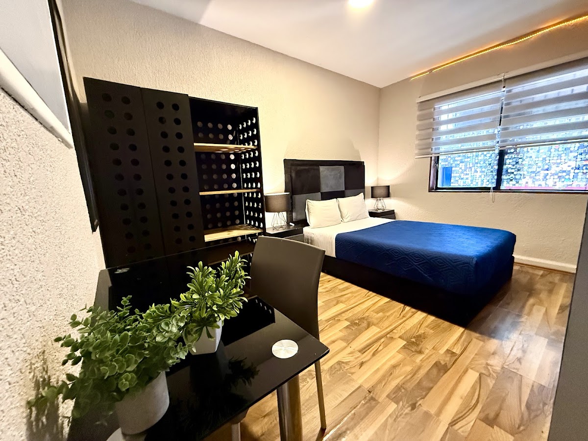 Roomies Hostel Condesa gallery 2