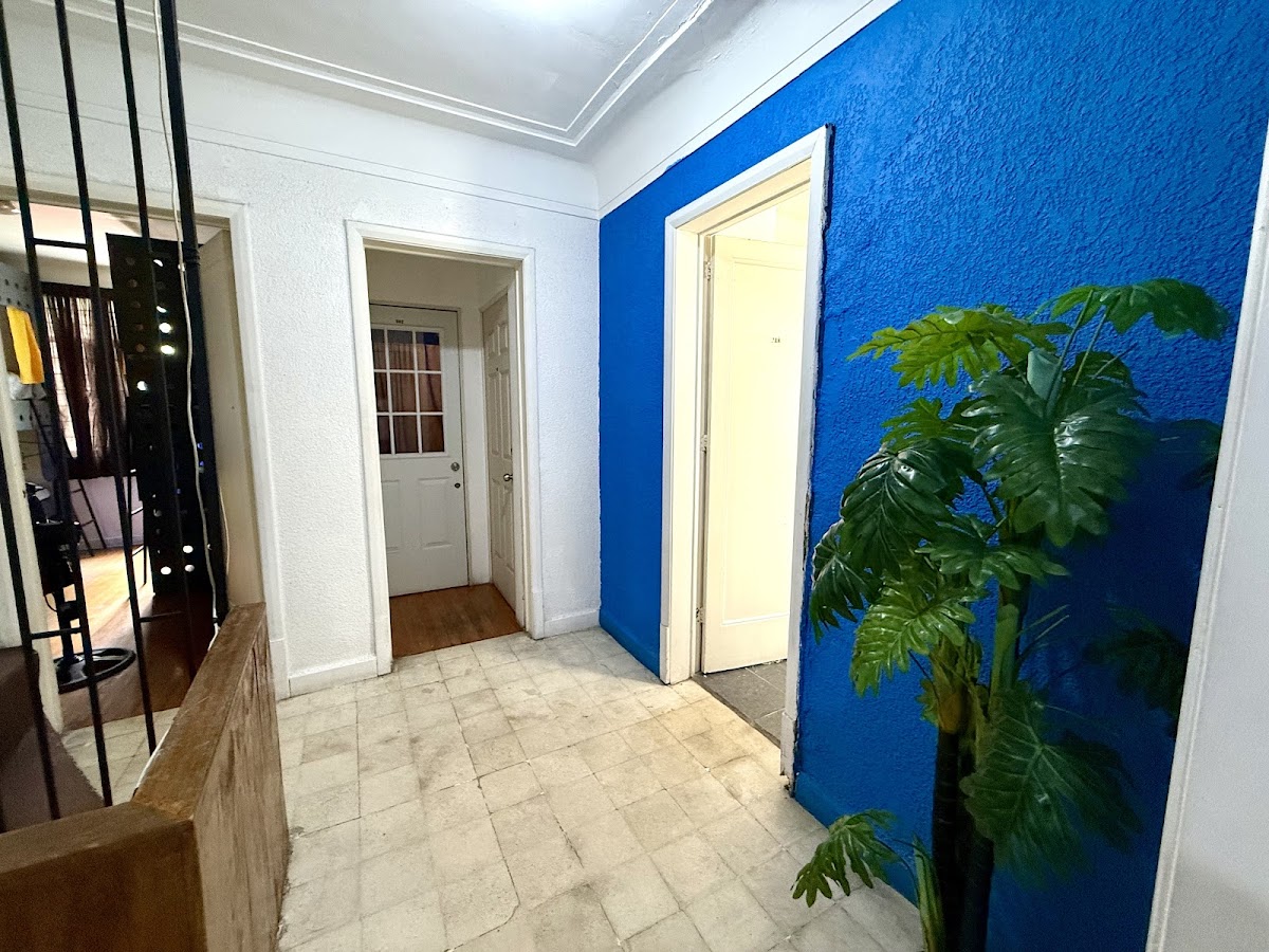 Roomies Hostel Condesa gallery 7