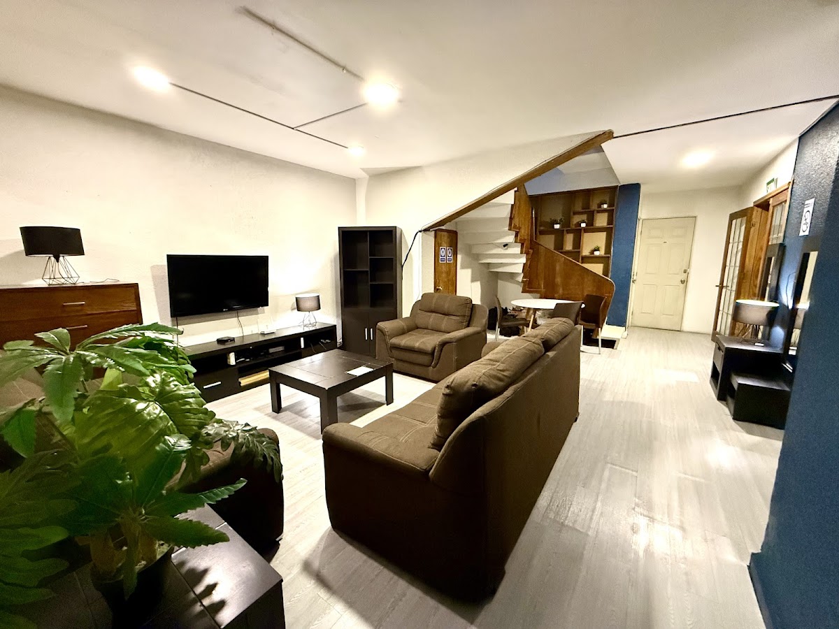 Roomies Hostel Condesa gallery 10