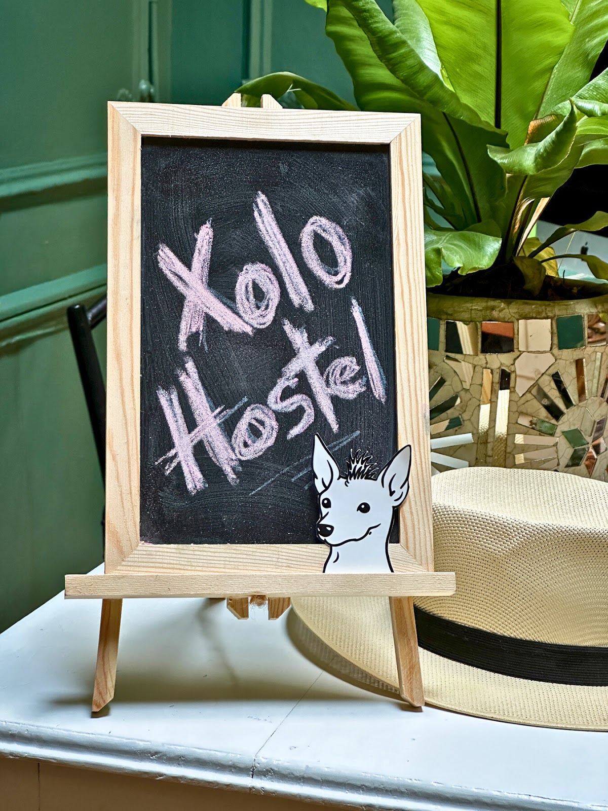 Xolo Hostel gallery 9