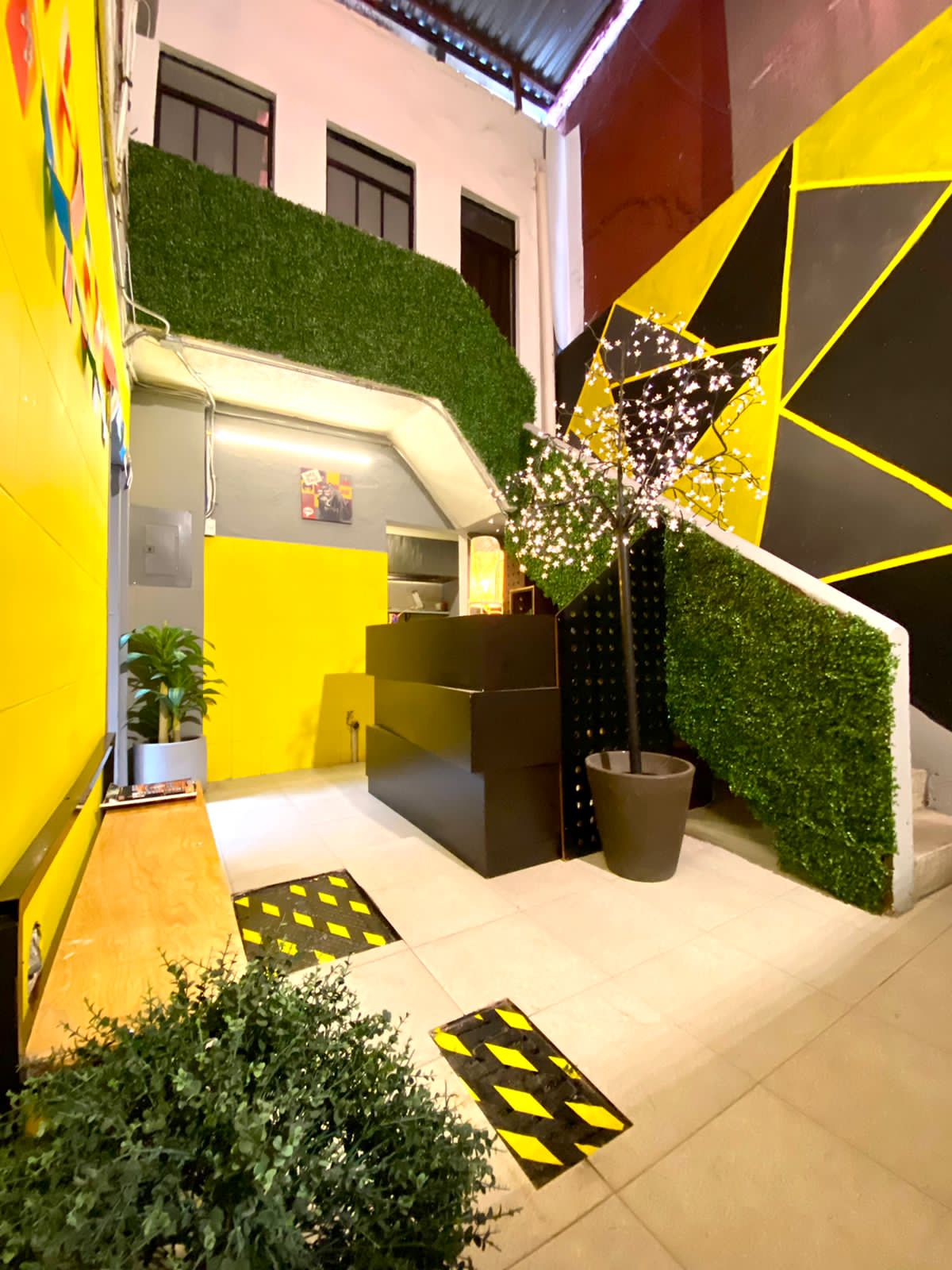 Roomies Hostel - Parque México gallery 8