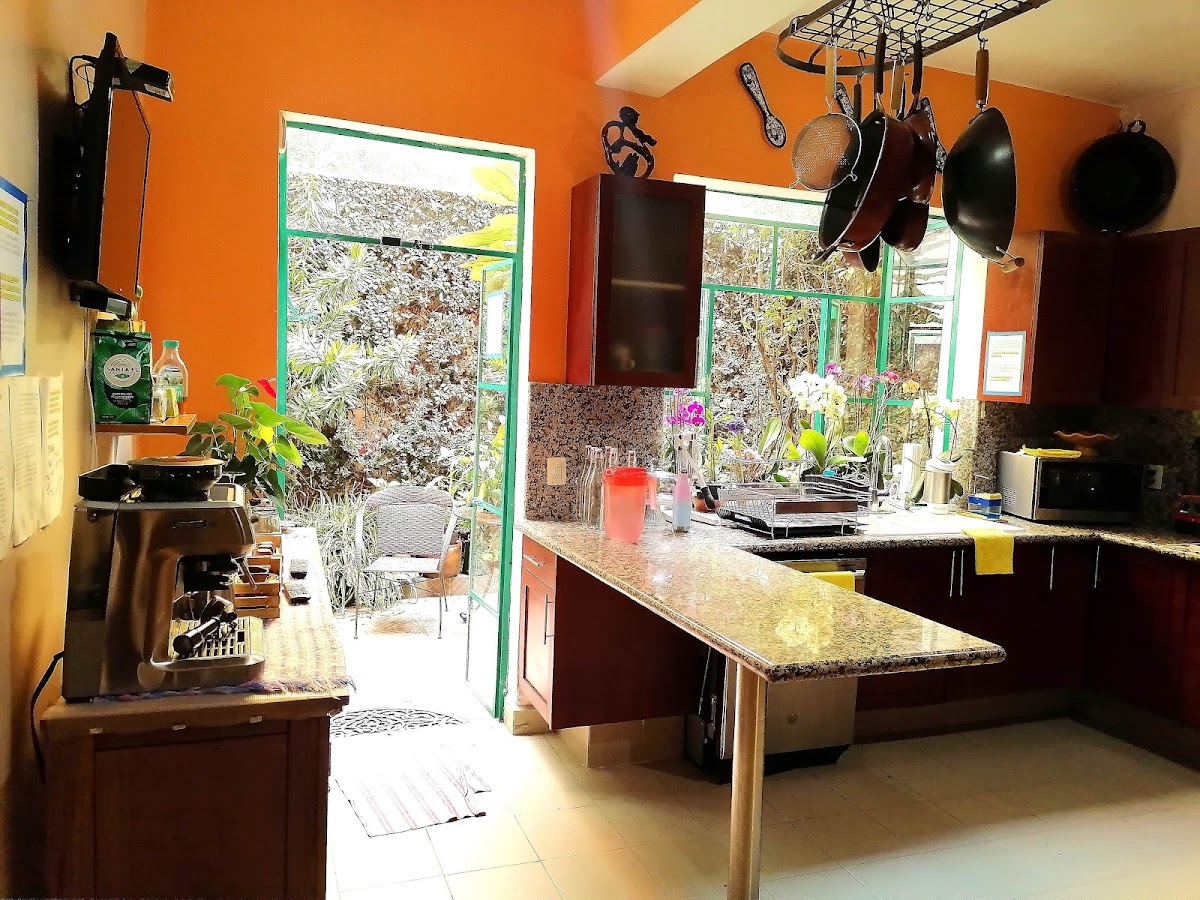 Casa Gubidxa Condesa gallery 9