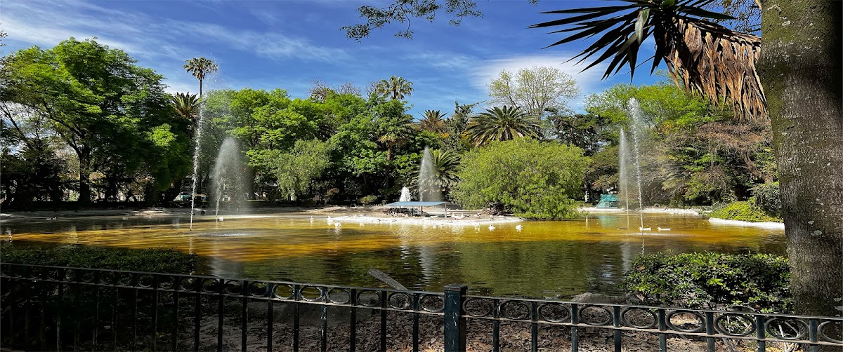 Discover Condesa gallery 9