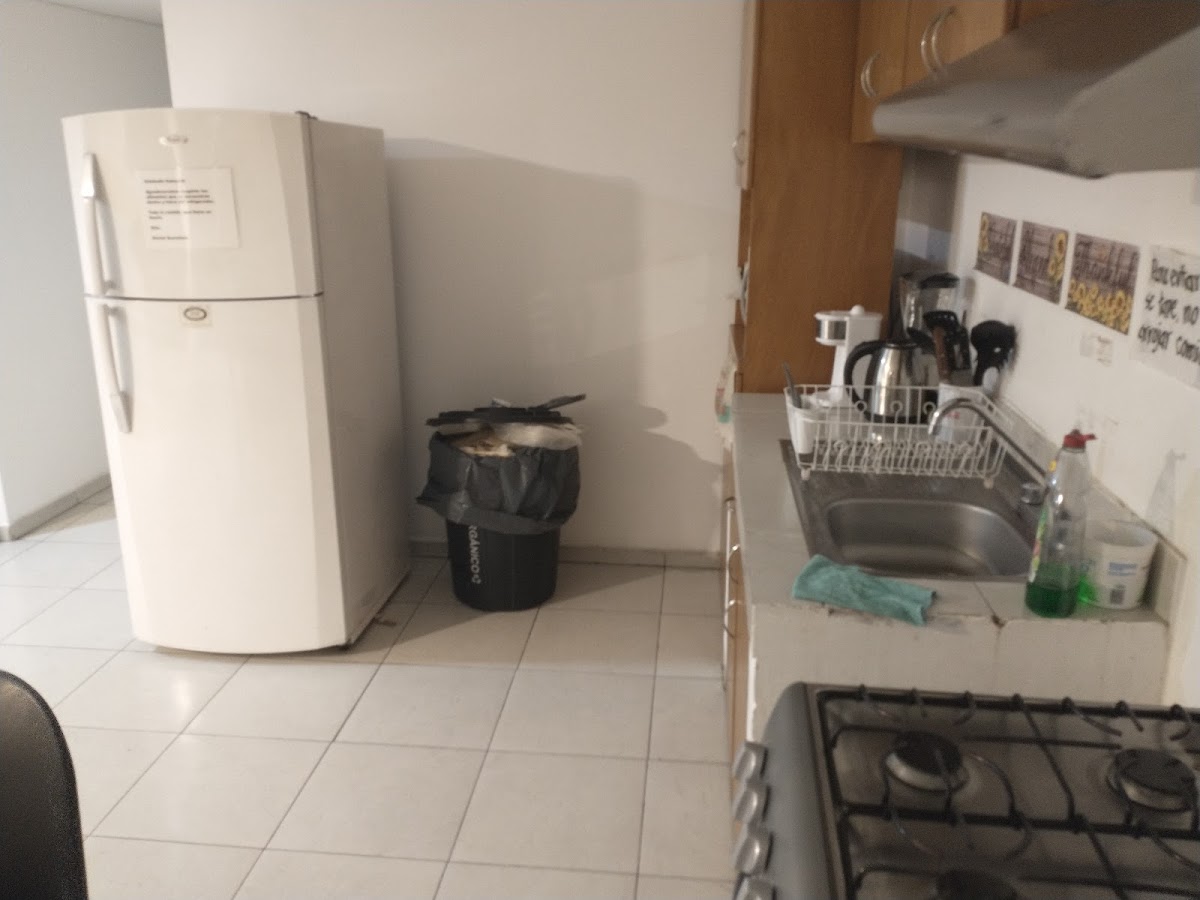 Coliving Roma Norte gallery 4