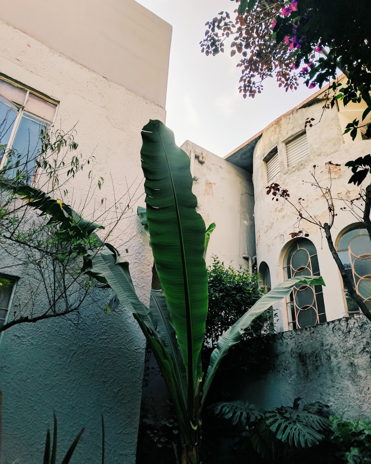 Stella Bed & Breakfast gallery 5