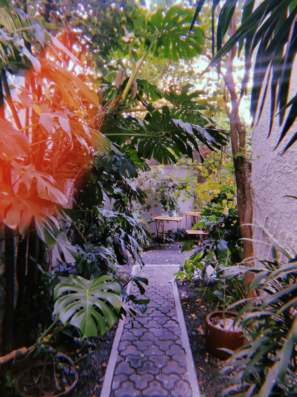Stella Bed & Breakfast gallery 7