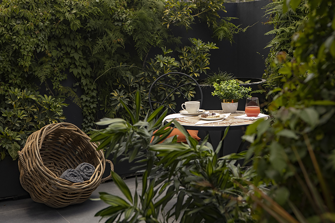 Reforma Guest House gallery 5