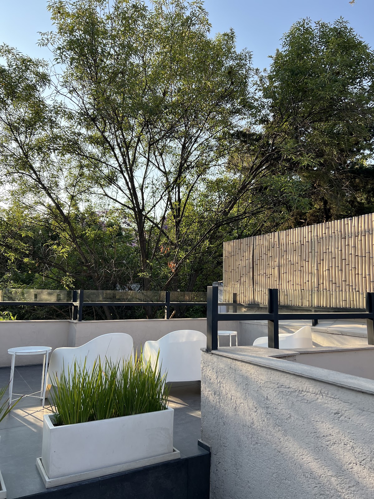 Suites Condesa gallery 9