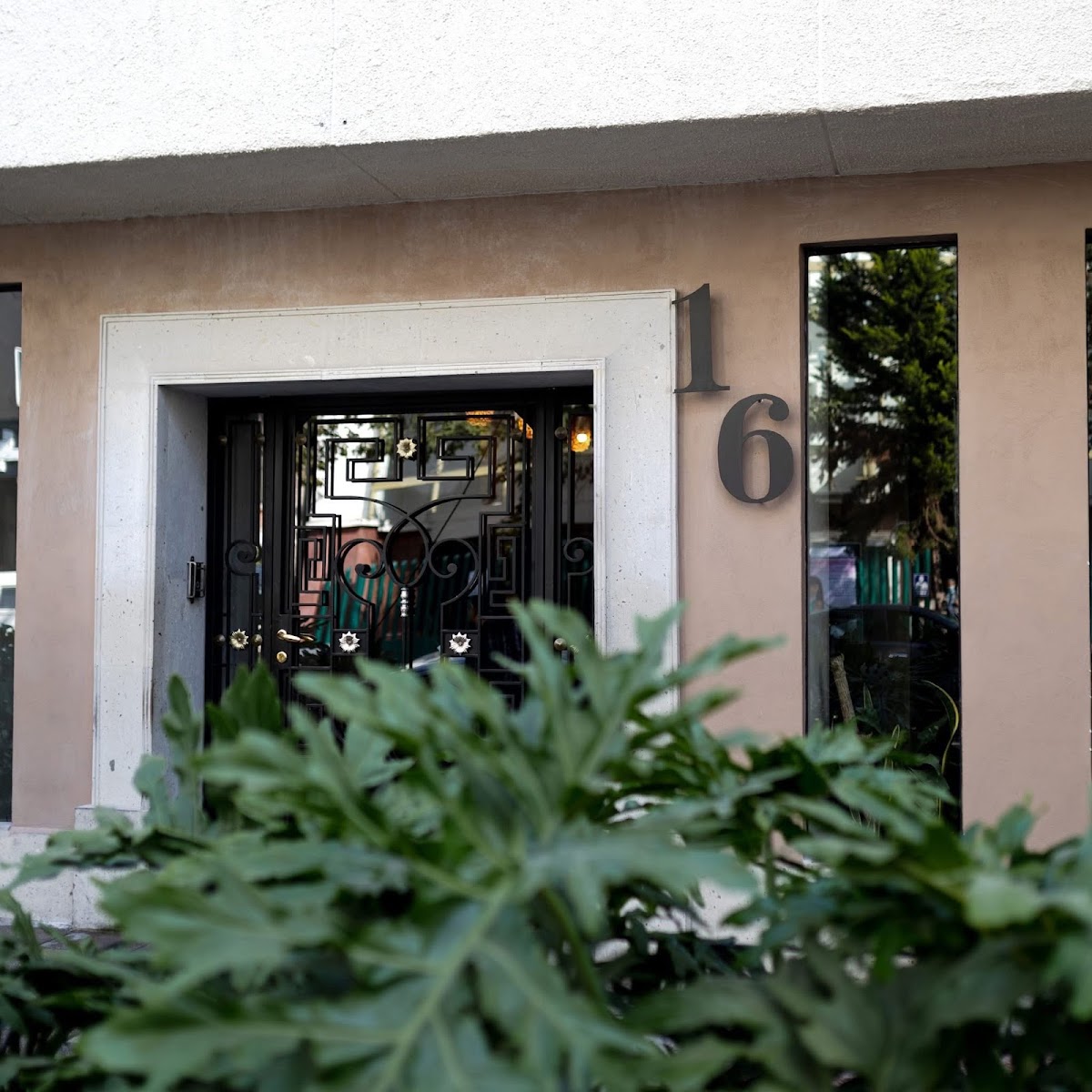 Zuma Colony Mx gallery 7