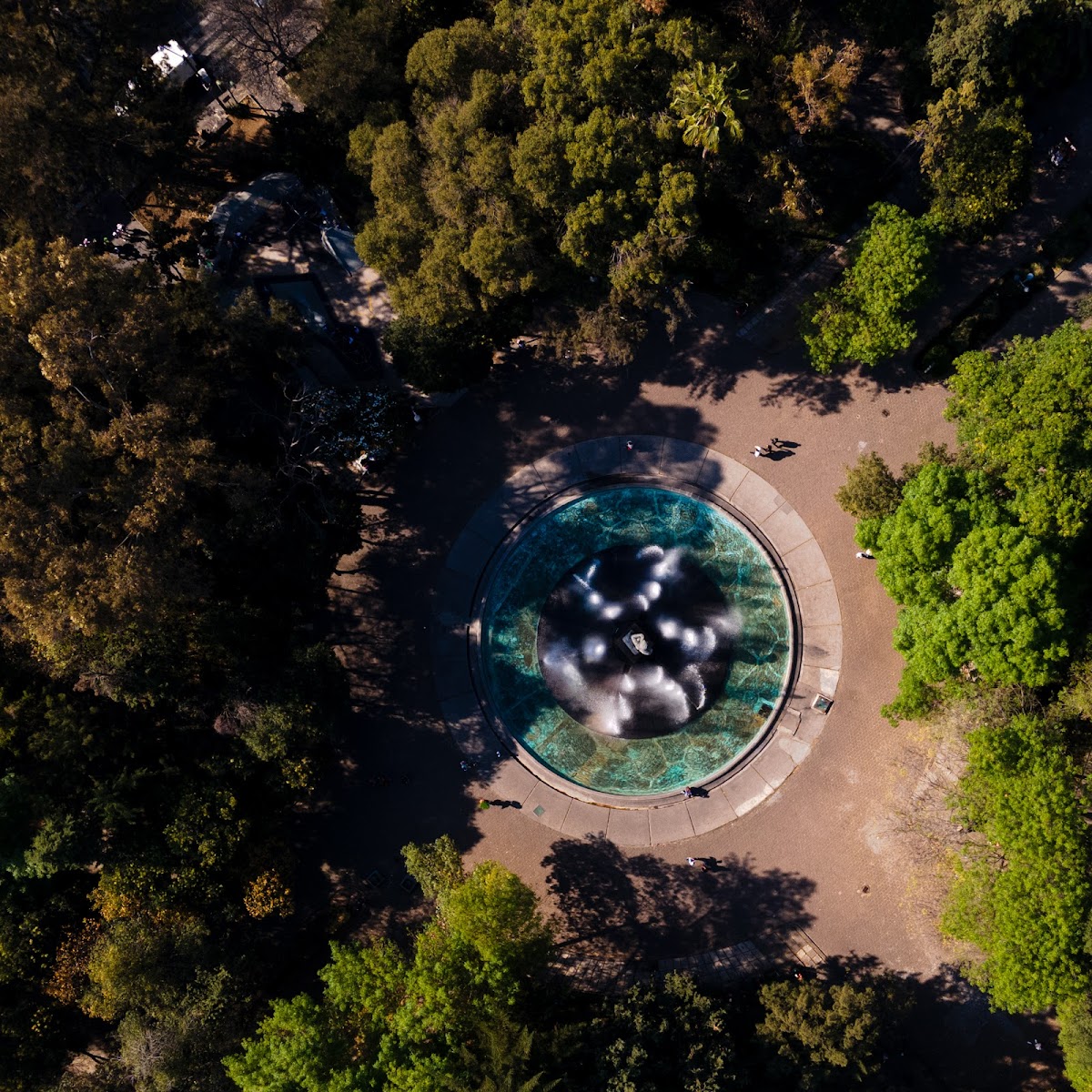 Zuma Colony Mx gallery 8