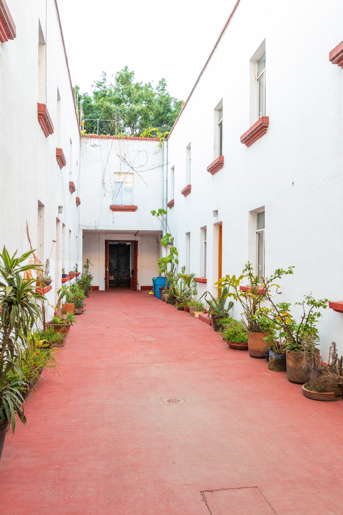 Casa Lumo Serviced Apartments gallery 4